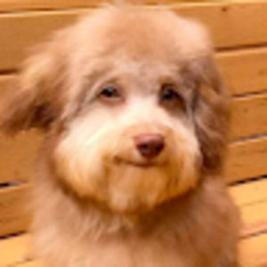 Meet your Posher, Sabine